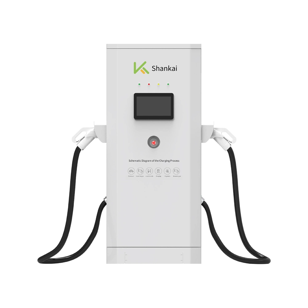 EV Charging Staion for Businss Public EV Charger Station with Double Guns