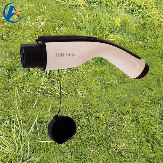 Evse AC EV 充電器 11 kW ウォールボックス コン プレサ ディ リカリカ Type2