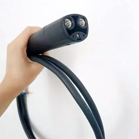 電気自動車充電ガン、ポータブル、新エネルギー自動車用低速充電